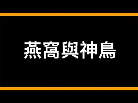 撿到燕子代表什麼|中國吉祥元素—燕子